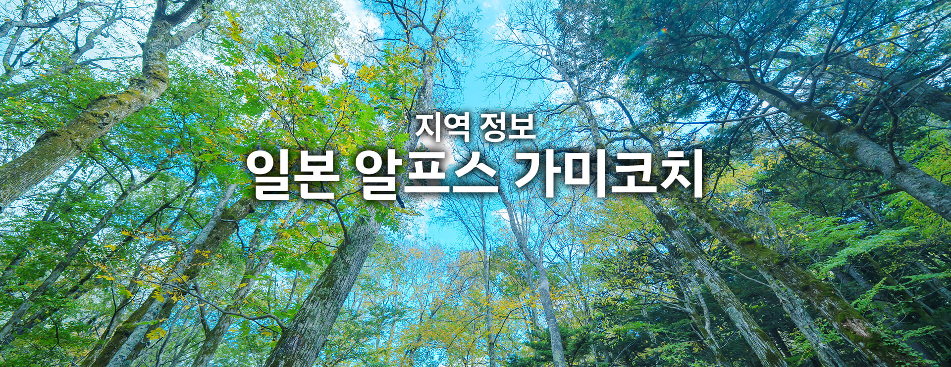 지역 정보 일본 알프스 가미코치 기간 한정 운행 버스