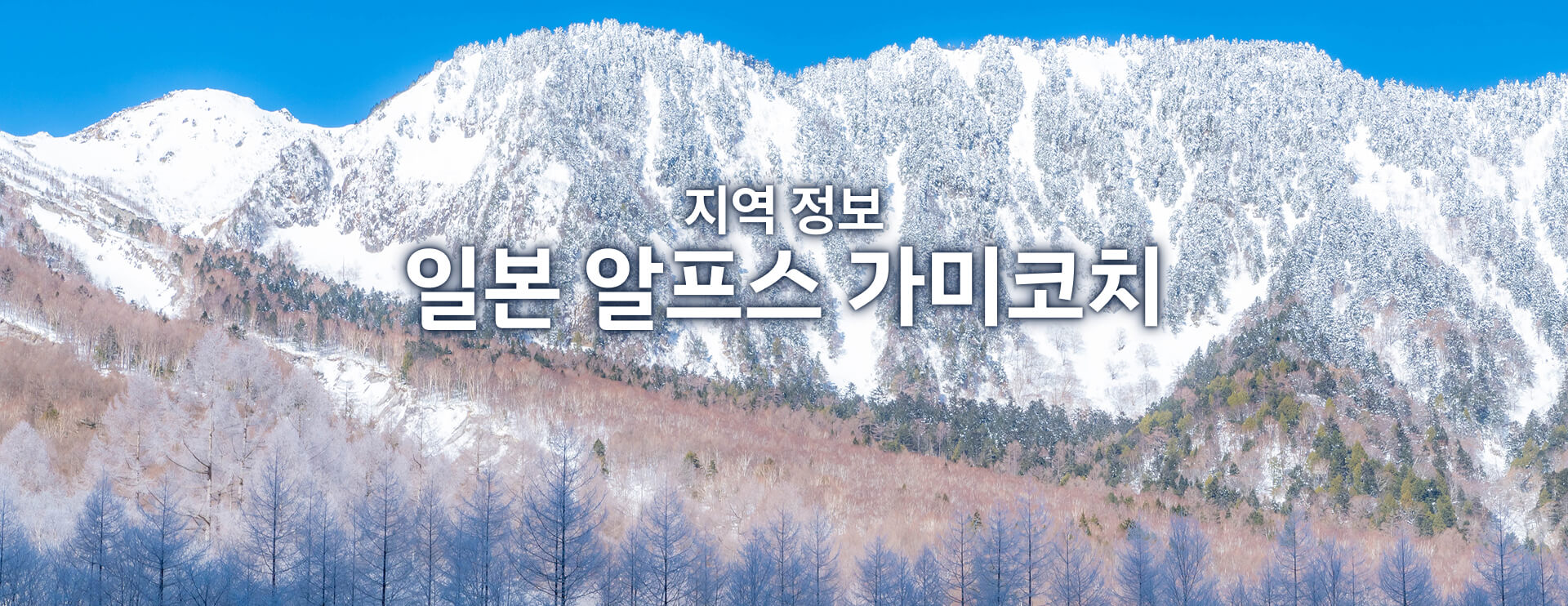 지역 정보 일본 알프스 가미코치 기간 한정 운행 버스