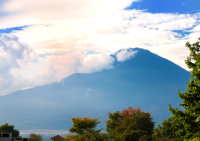 고텐바 프리미엄 아울렛