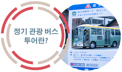 정기 관광 버스 투어란?