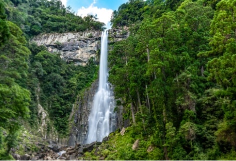 Kumano sightseeing bus