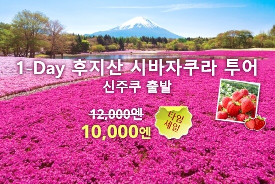 1-Day 후지산 시바자쿠라 투어 2026