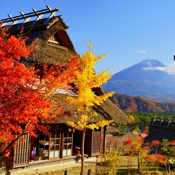 사이코 이야시노사토 넨바