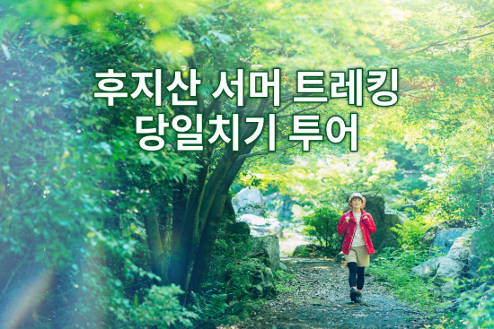 후지산 서머 트레킹 투어