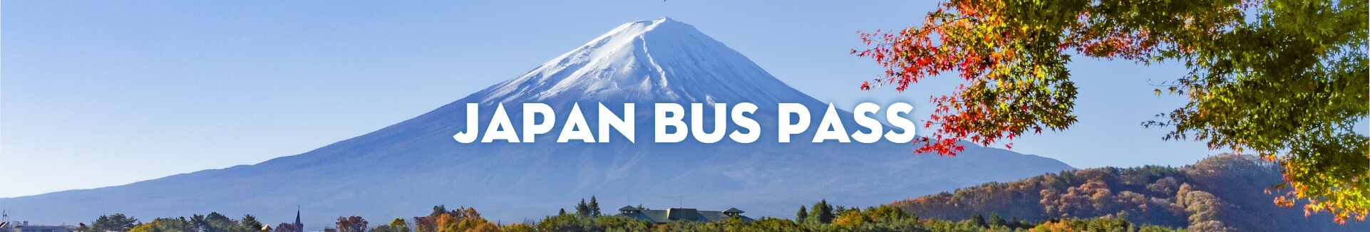 Japan Bus Pass