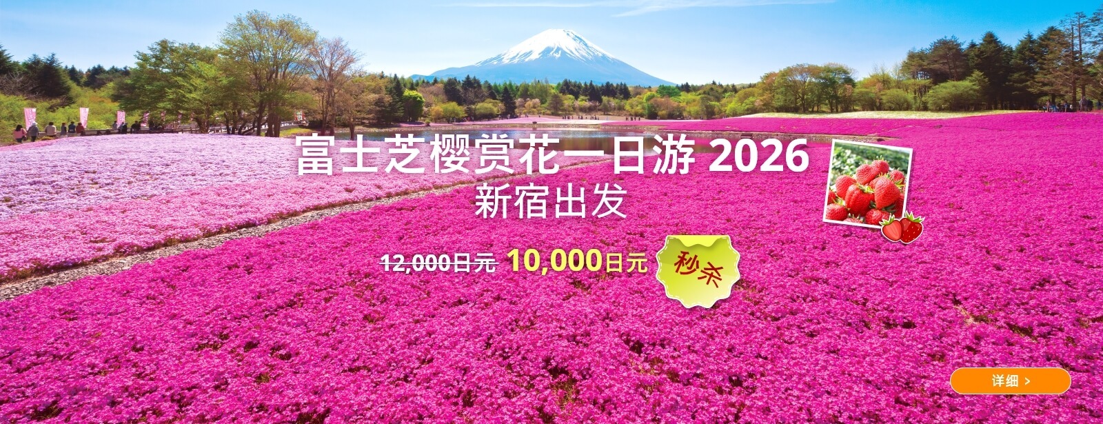 【东京出发】富士芝樱祭赏花一日游 