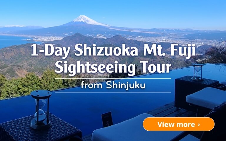 1-Day Shizuoka Mt. Fuji Sightseeing Tour from Shinjuku