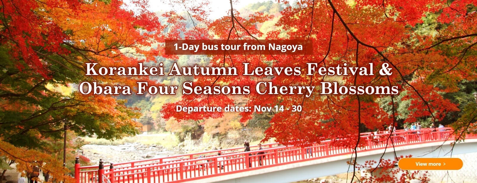 Korankei Autumn Leaves Festival & Obara Four Seasons Cherry Blossoms