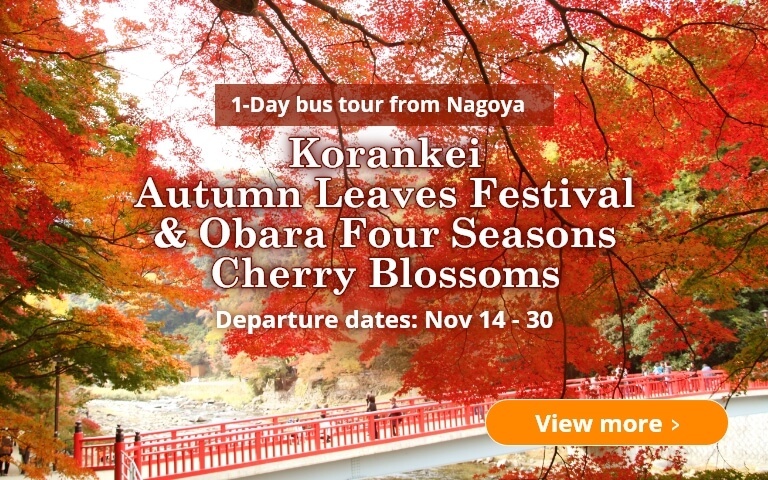 Korankei Autumn Leaves Festival & Obara Four Seasons Cherry Blossoms