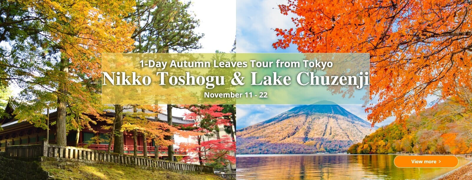 1-Day Autumn Leaves Tour from Tokyo Nikko Toshogu & Lake Chuzenji