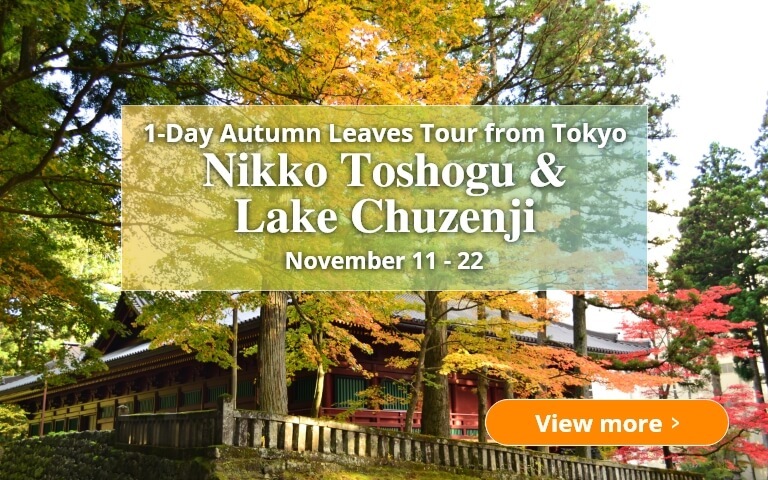 1-Day Autumn Leaves Tour from Tokyo Nikko Toshogu & Lake Chuzenji