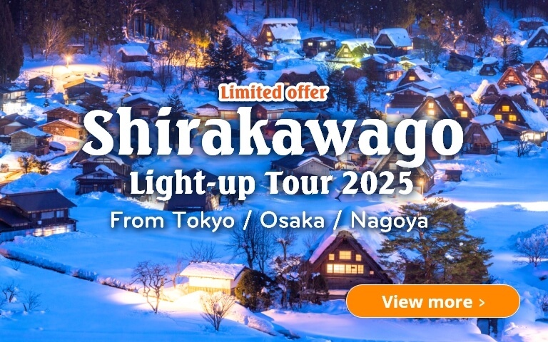 Shirakawago light up tour 2025