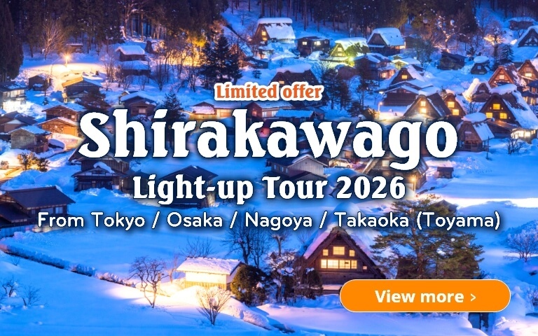Shirakawago Light-up Tour 2026