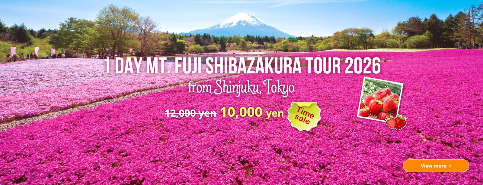 1-Day Mt. Fuji Shibazakura Tour