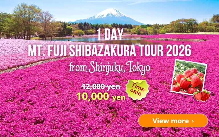 1-Day Mt. Fuji Shibazakura Tour