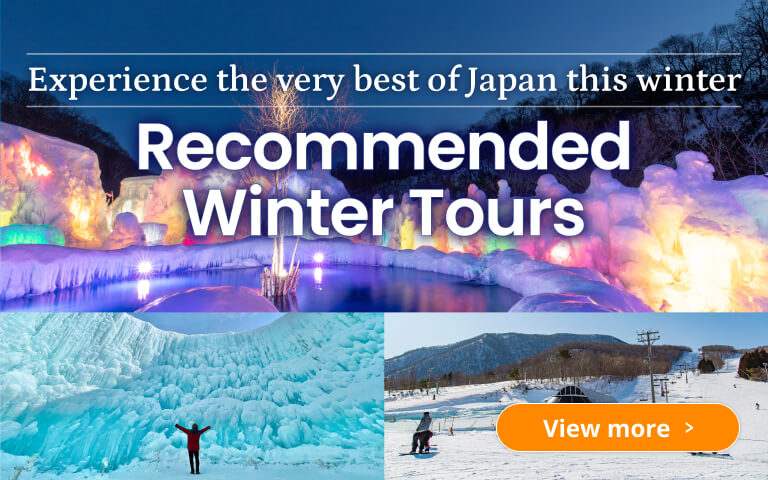 Recommended Winter Tours