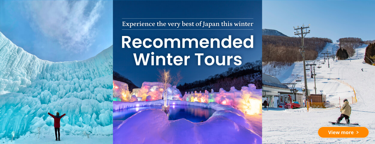 Recommended Winter Tours