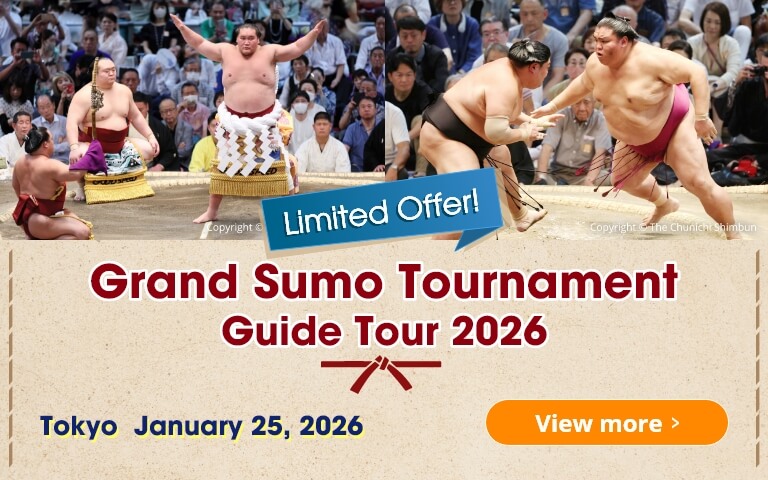 1-Day Sumo Tournament Tour