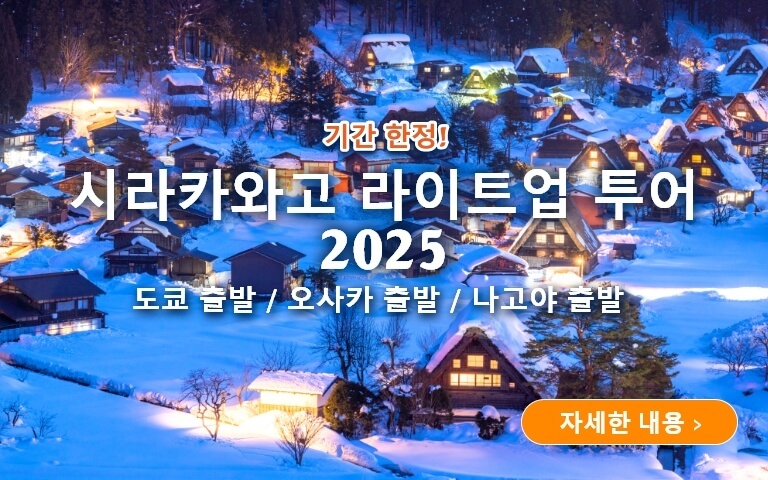 시라카와고 라이트업 투어 2025