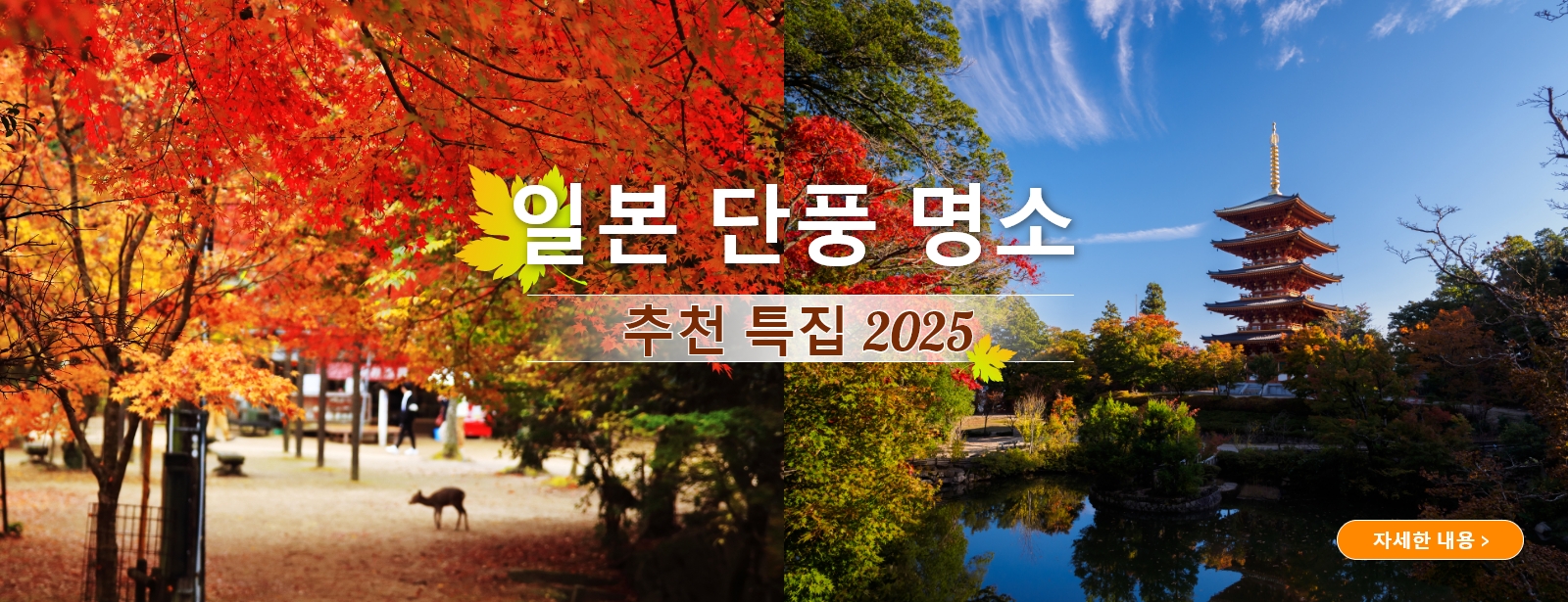 단풍 명소 추천 특집 2025