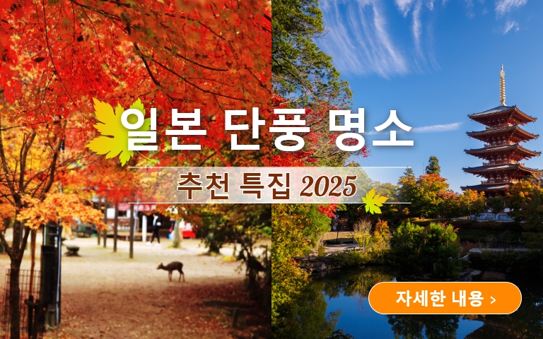 단풍 명소 추천 특집 2025
