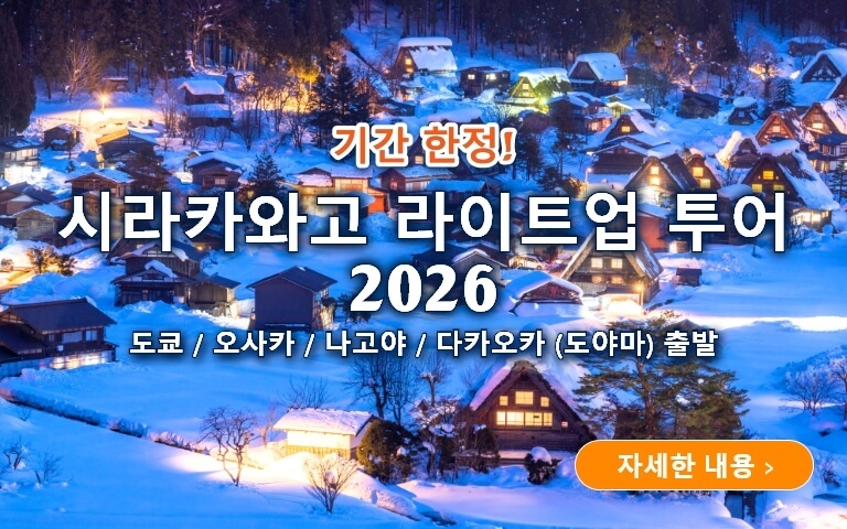 시라카와고 라이트업 투어 2026
