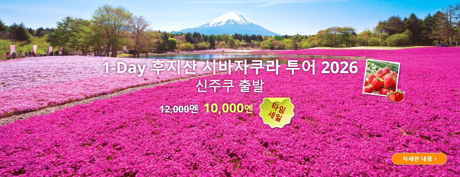 [도쿄출발] 1-Day 후지산 시바자쿠라 투어