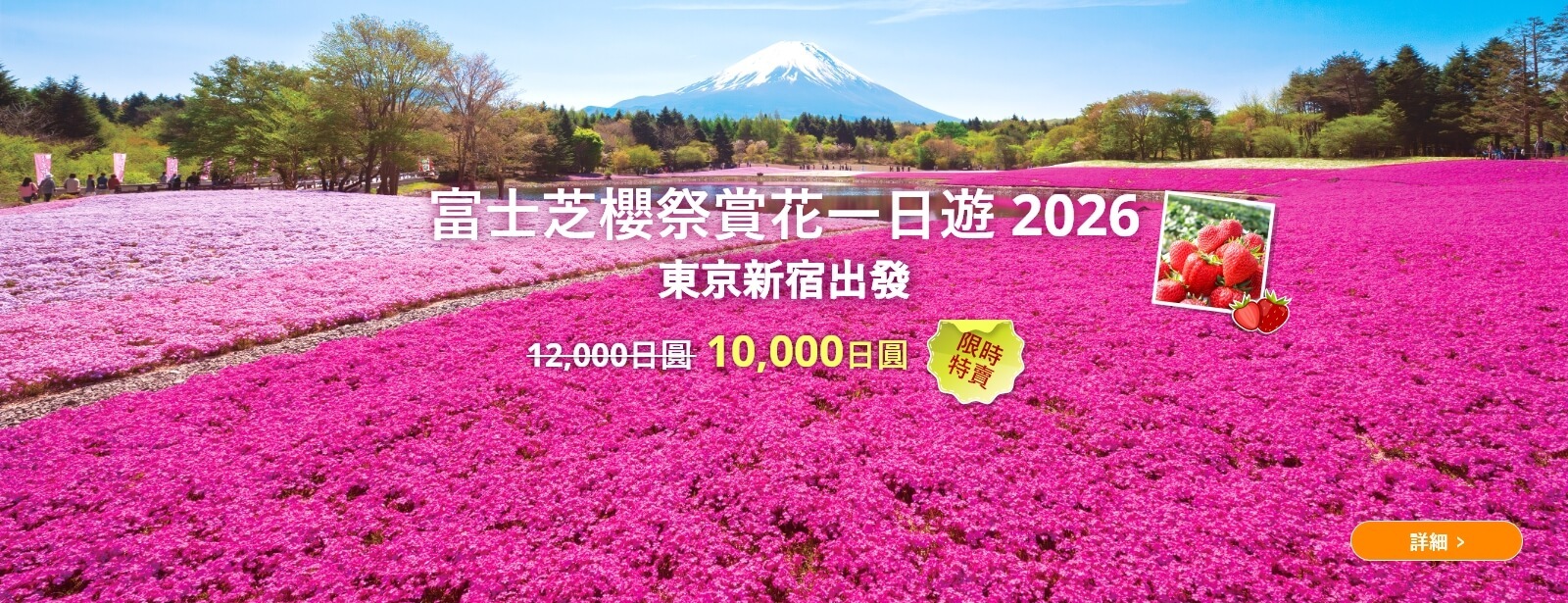 【東京出發】富士芝櫻祭賞花一日遊