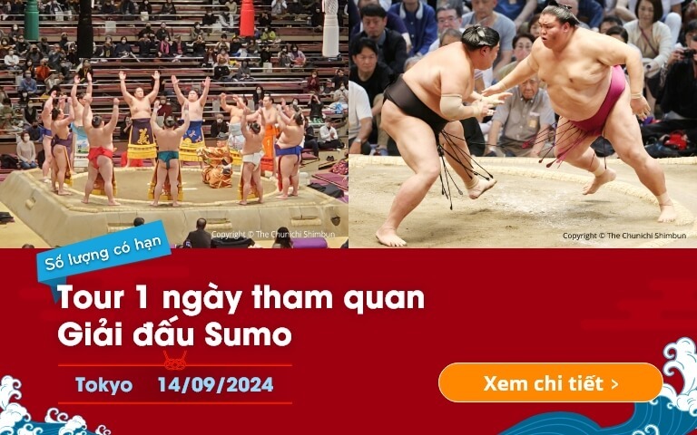 1-Day Sumo Tournament Tour in Nagoya 