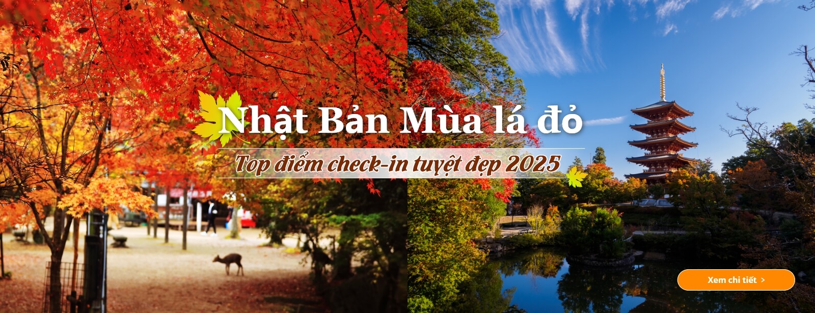 Những địa điểm ngắm lá mùa thu tại Nhật Bản năm 2025