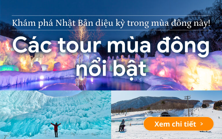 Các tour mùa đông nổi bật