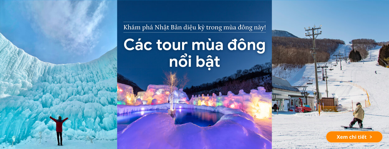Các tour mùa đông nổi bật