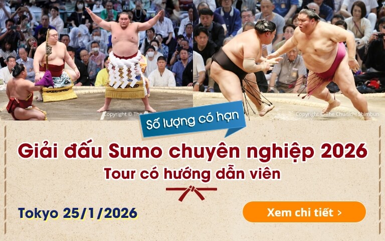 1-Day Sumo Tournament Tour