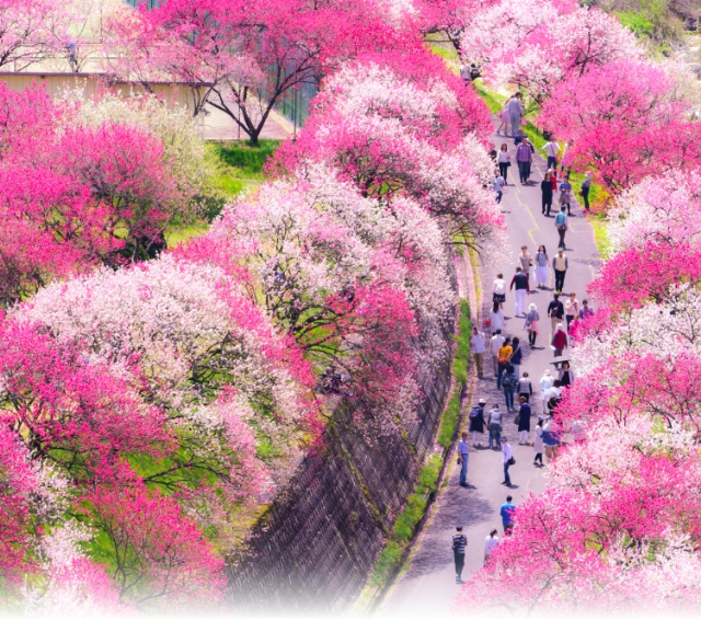 前往阿智村昼神溫泉之旅