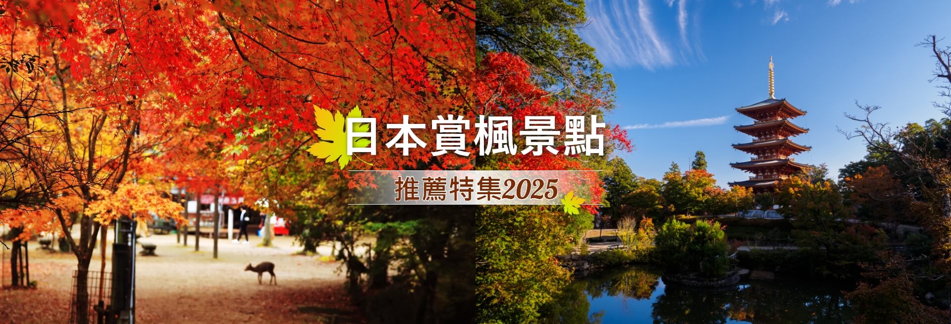 日本賞楓景點推薦特集2025