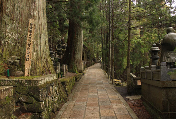 和歌山
