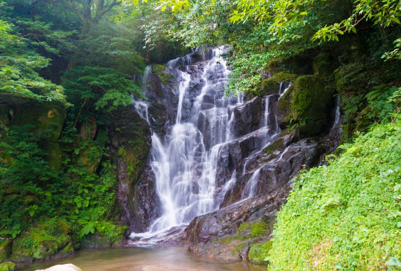 福岡