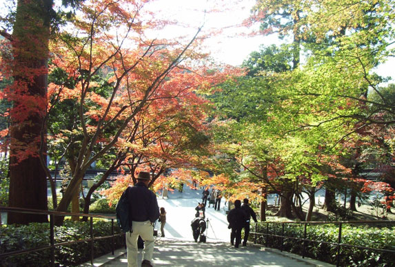 神奈川