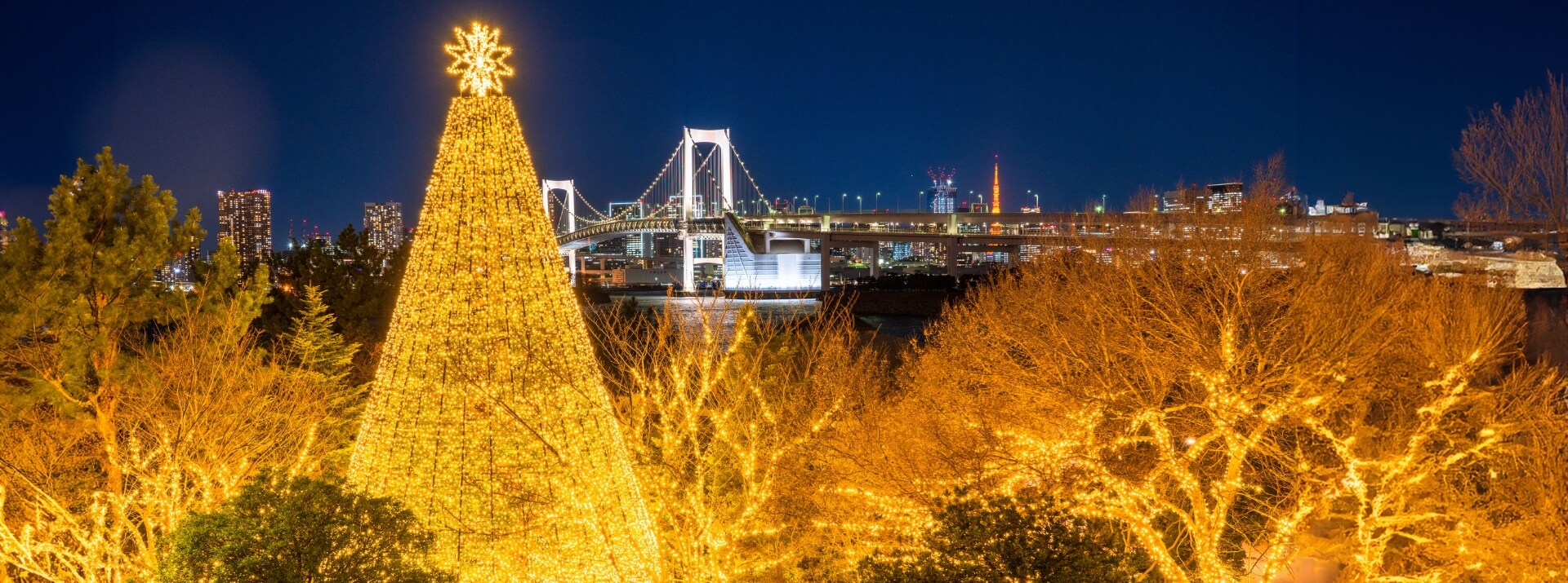 日本冬季的燈飾景點 2025-2026