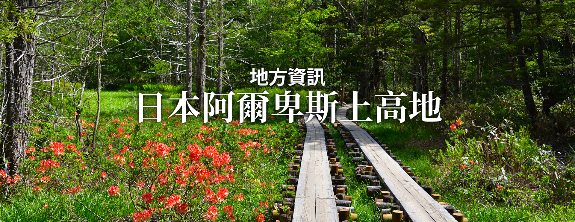 地方資訊 日本阿爾卑斯上高地 限期行駛巴士