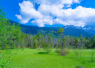 田代濕原