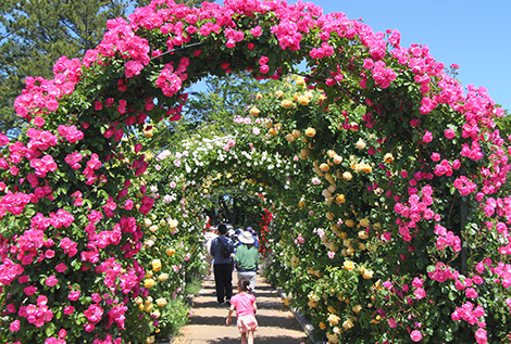 浜名湖Flower Park