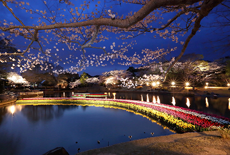 浜名湖Flower Park