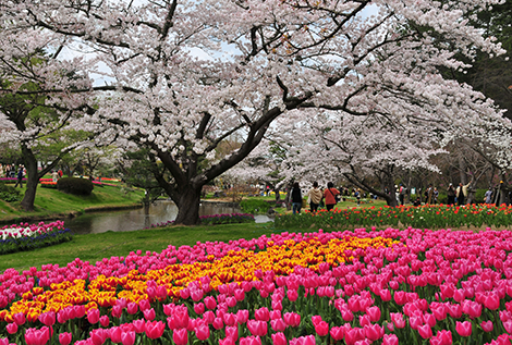 浜名湖Flower Park