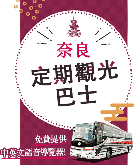 Nara Sightseeing Bus Tour with a guide! 
