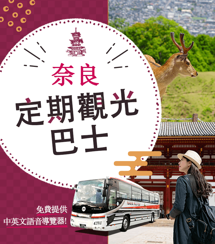 Nara Sightseeing Bus Tour with a guide! 