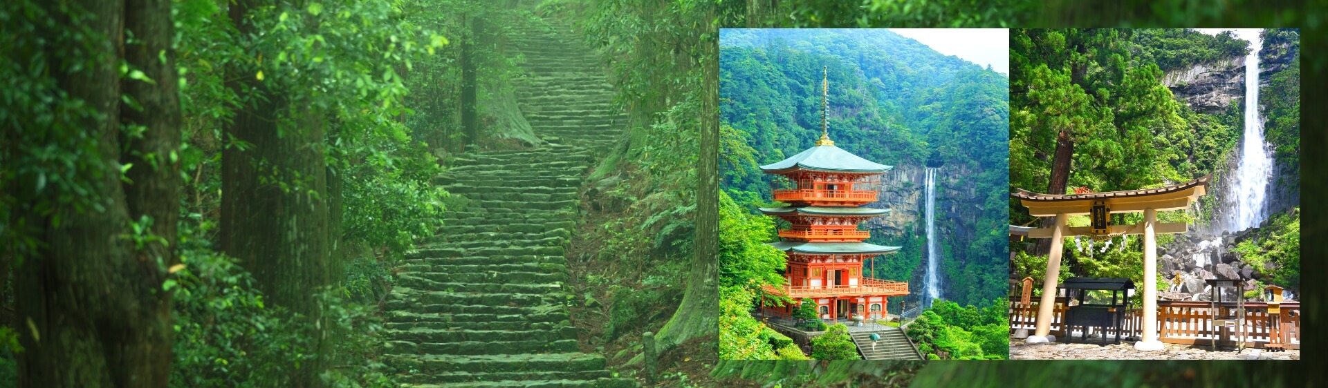 熊野古道觀光巴士