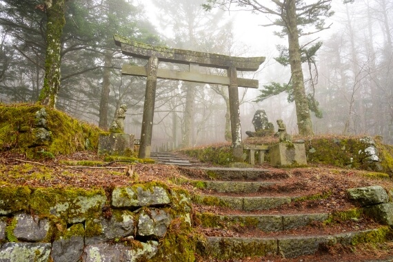 與熟知富士山所有知識的專業嚮導一起享受山間健行的樂趣吧！
