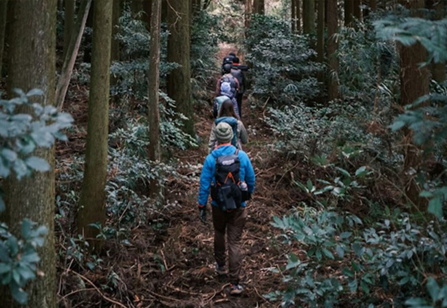 富士山一合目到五合目多采多姿的自然色彩