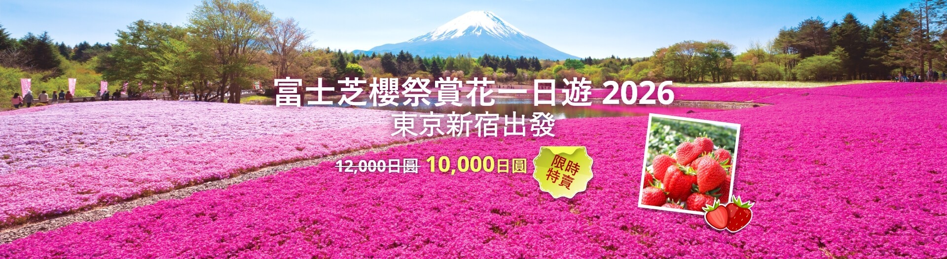 富士芝櫻祭賞花一日遊 2026